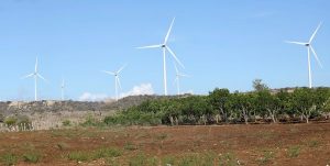 PERAVIA: Presidente Medina asiste inauguración de un parque eólico