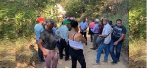 Denuncian tala de árboles en una parte de la cordillera Central