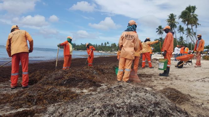 Brigadas MOPC retiran toneladas de sargazos en playas de la región Este imagen
