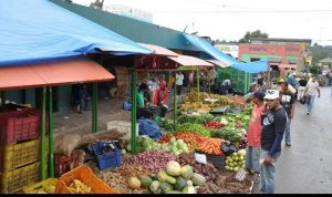 Sequía provoca en Santiago aumento de precios en artículos comestibles