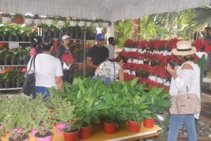 Jardín Botánico inaugura Festival Nacional de Plantas y Flores