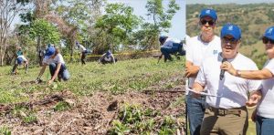 Empleados de AFP Popular reforestan localidad de Los Montones