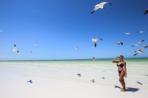 MEXICO: Están libres de sargazo 18 playas de Quintana Roo