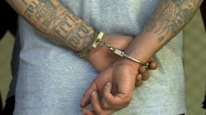 Arrestan a 10 pandilleros por tiroteos, robos y drogas NY