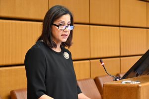 VIENA: Embajadora RD emociona con discurso sobre las Mirabal