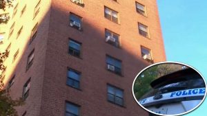 Muere niño dominicano cayó de un noveno piso en el Bronx