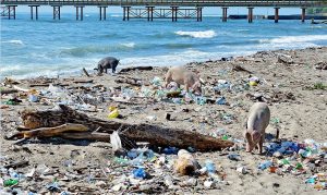 Haina insiste en su descontaminación y en recobrar atractivo cultural