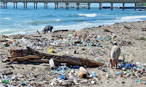 Haina insiste en su descontaminación y en recobrar atractivo cultural imagen