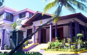 PLD deposita instancia en la JCE para que D. Medina pueda hacer campaña