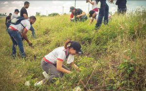 Instituciones locales realizan jornada de reforestación en Tamboril