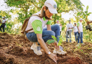 MONTE PLATA: Grupo SID realiza jornada de reforestación en el Mamey
