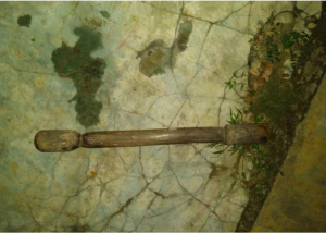 LA VEGA: Enajenado mental mata a su madre con una «mano de pilón»