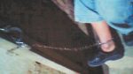 PN rescata menor estaba encadenado en vivienda de Los Jazmines
