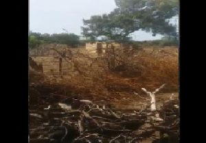 BANI: Obispo Masalle denuncia tala de árboles en Las Dunas