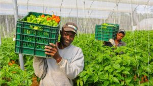 Destacan apoyo del Presidente para relanzar tecnología agropecuaria Destacan apoyo del Presidente para relanzar tecnología agropecuaria