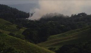 Academia Ciencias denuncia desastre ecológico en Jarabacoa por incendio