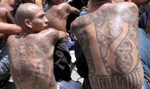 NUEVA YORK: Autoridades arrestan cien pandilleros de Mara Salvatrucha