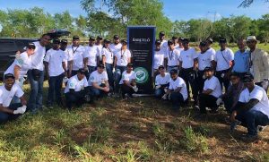 SPM: Ron Barceló siembra unos 1,500 árboles en la Rotonda del Peñón