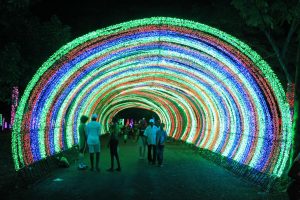 ASDE deja abierto el parque de luces”Vive la Navidad” ASDE deja abierto el parque de luces”Vive la Navidad”