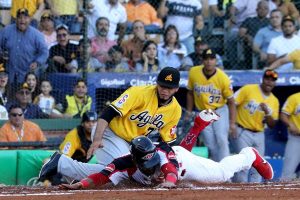 Toros avanzan a la final; Aguilas empatan con el Licey