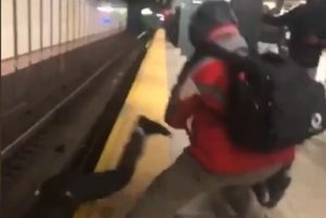 Una pelea y un hombre en las vías: bizarra escena en NY que se hizo viral