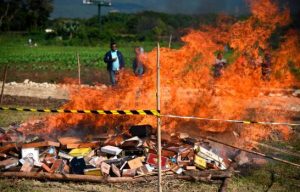 Instituto del Tabaco quema millares cigarros y cigarrillos falsificados