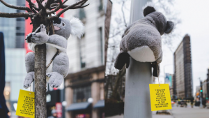 NY se llena de peluches koalas para concienciar sobre incendios