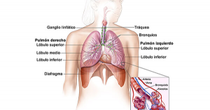 American Cancer Society cita síntomas comunes cáncer de pulmón 