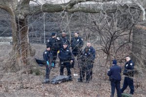 Encuentran cadáver colgado de un árbol en Central Park de Nueva York