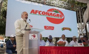 Denuncian importaciones atentan contra el campo dominicano