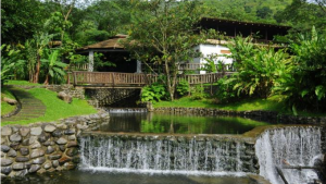 Turismo ecológico, ¡Que no panda el cúnico! Turismo ecológico, ¡Que no panda el cúnico!