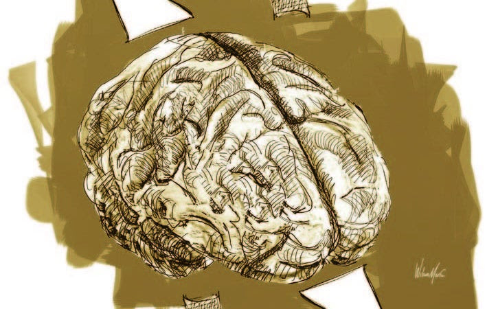 Conceptos modernos de neurociencia y educación imagen