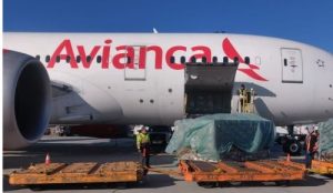 Avianca  realiza primer vuelo de carga en avión  pasajeros 