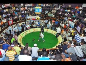 Coliseo Gallístico Santiago anuncia Clásico Arnulfo Gutiérrez Coliseo Gallístico Santiago anuncia Clásico Arnulfo Gutiérrez