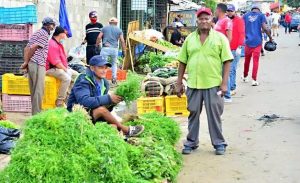 Venduteros del mercado Hospedaje Yaque desafían disposiciones cabildo Venduteros del mercado Hospedaje Yaque desafían disposiciones cabildo