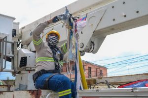 Dicen las chichiguas siguen afectando el sistema de transmisión eléctrico