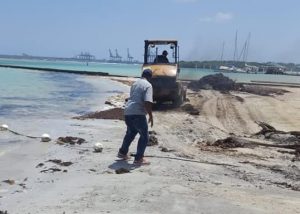 Cabildo Boca Chica inicia recogida gran cantidad de sargazo en playa
