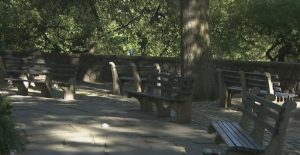 Una adolescente muerta y 3 heridos deja balacera en parque del Bronx