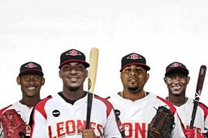 Los Leones adquieren al prospecto Wander Franco desde los Gigantes