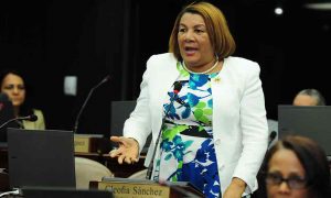 Liberan hijo diputada del PLD habría alterado actas para favorecer madre