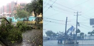 PUERTO PLATA: Fuertes vientos de Isaías derriban decenas de árboles