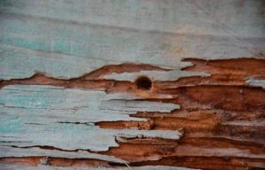 Investigan circunstancias mujer murió por bala perdida en Santiago Oeste