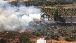 Los incendios vuelven a amenazar la Amazonia brasileña tras dispararse en julio