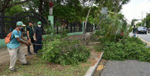 SDE: Obras Públicas inicia limpieza y rescate de áreas en el Parque del Este