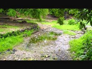 BARAHONA: Piden a instituciones establecer plan de rescate río Birán