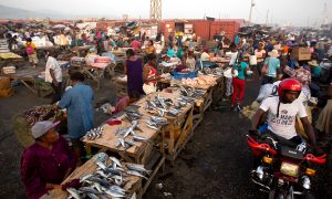 Oposición de Haití presiona a comerciantes para bajar precios