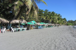 TURISMO: Palenque, playa digna de mejor suerte