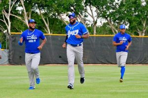 Tigres disputarán siete partidos de pretemporada beisbol dominicano Tigres disputarán siete partidos de pretemporada beisbol dominicano