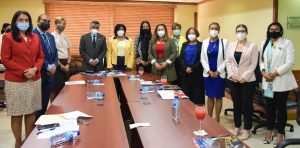 Ministerio Mujer resalta debilidades de proyecto sobre violencia de género