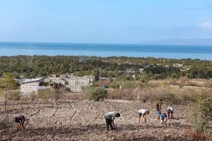 Plataforçma denuncia en Haití expropiación de tierras a campesinos